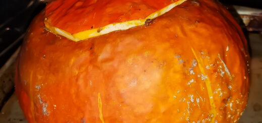 Image of pumpkin in oven