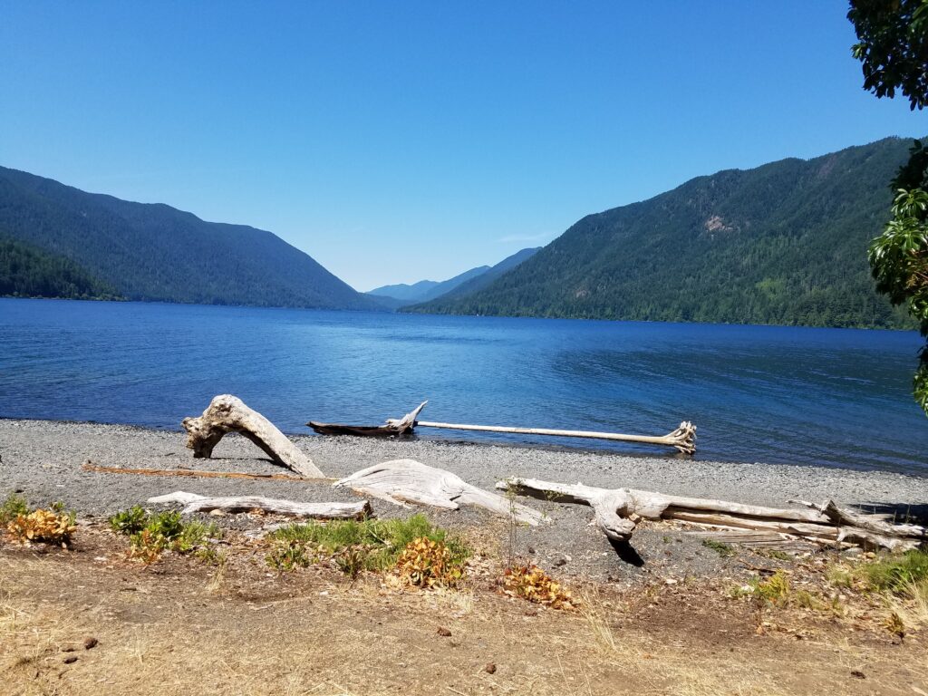 View from Lake Crescent Lodge