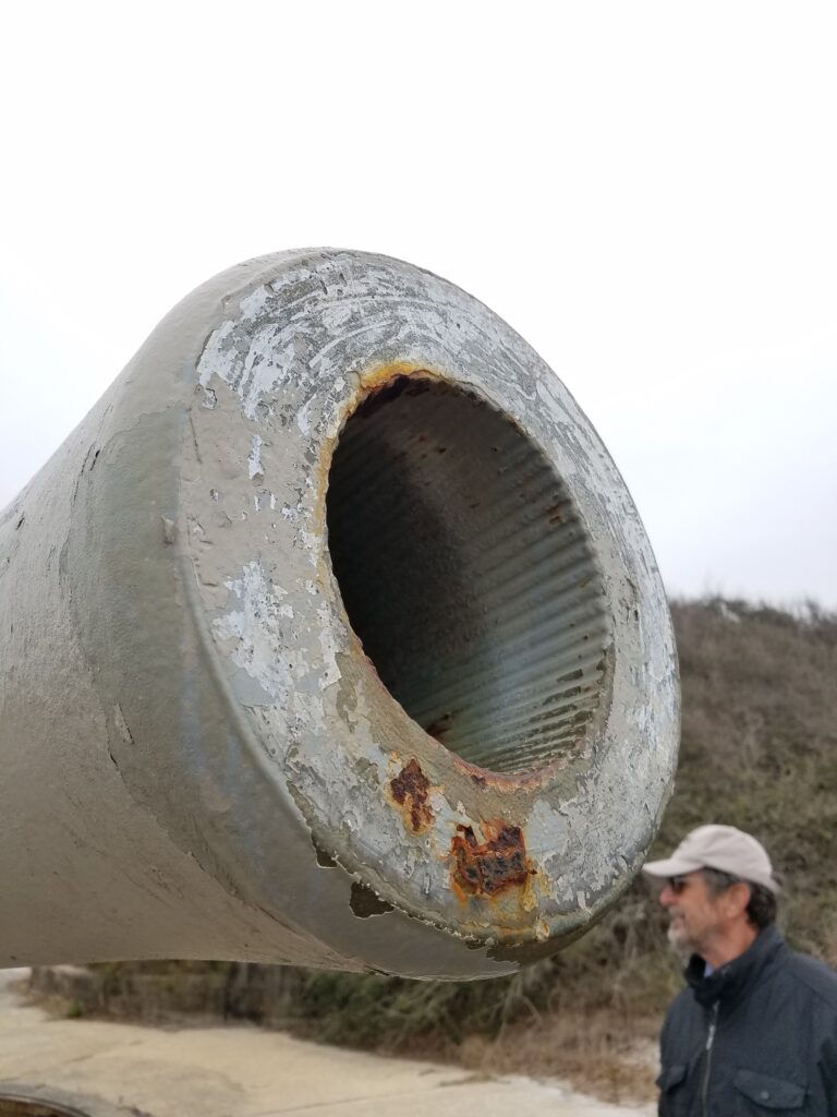 Cannon at Fort Pickens